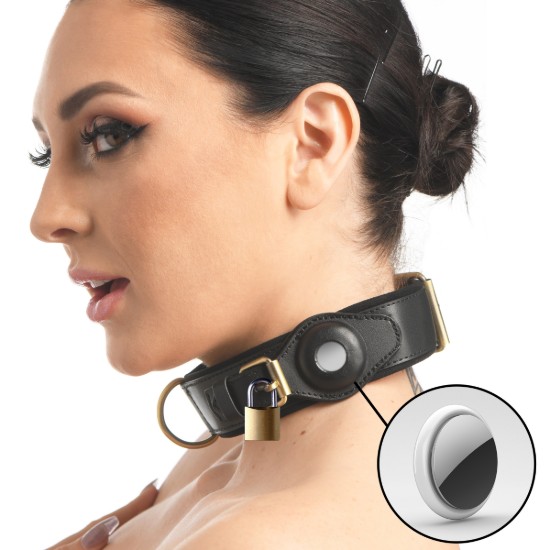Picture of Tracer Tracking Collar