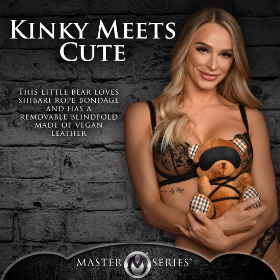 Picture of Rope Bondage Teddy Bear