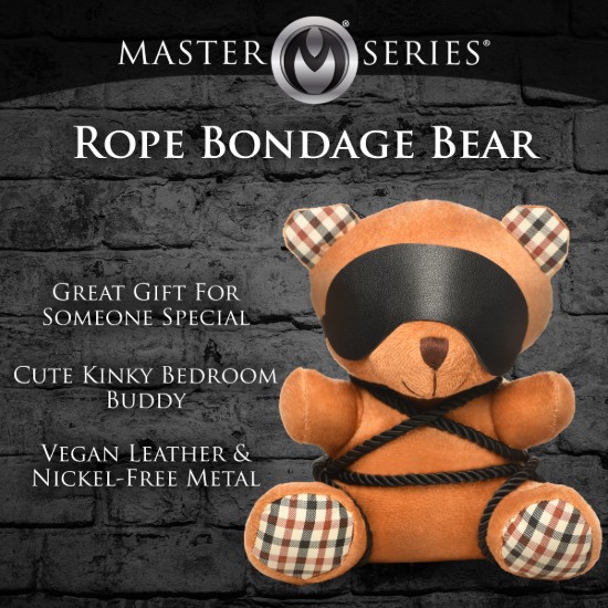 Picture of Rope Bondage Teddy Bear