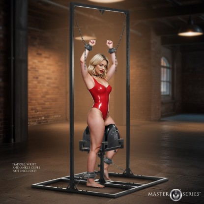 Picture of Pleasure Post Saddle Frame