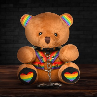 Picture of Pride Bear