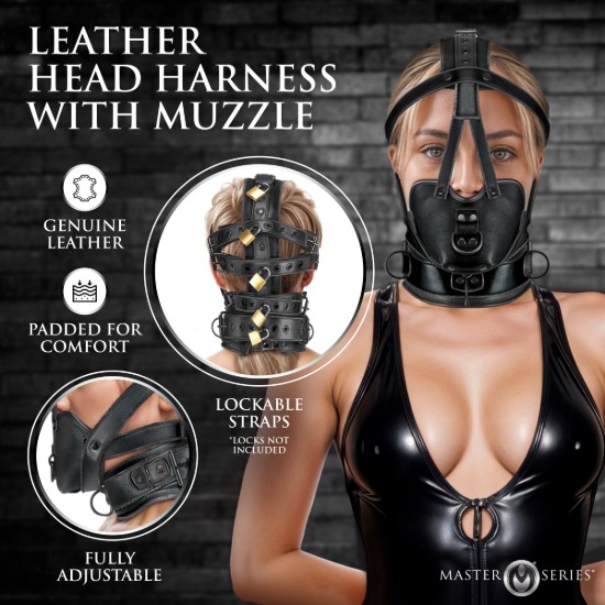 Picture of Leather Head Harness with Muzzle