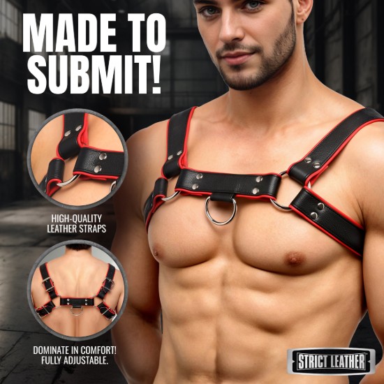 Picture of Leather English Bull Dog Harness Black/Red