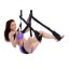 Picture of Trinity Sex Swing Support System