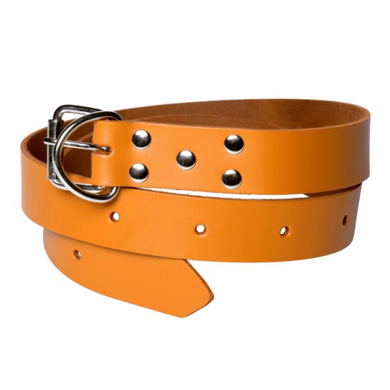 Picture of Hospital Style Restraint Strap - 42 Inches