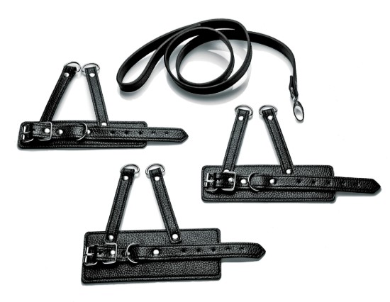 Picture of Isabella Sinclaire 3 Piece Ball Stretcher Training Set
