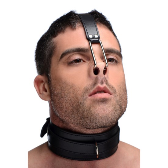 Picture of Collar with Nose Hook