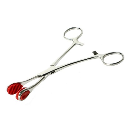 Picture of Young Forceps