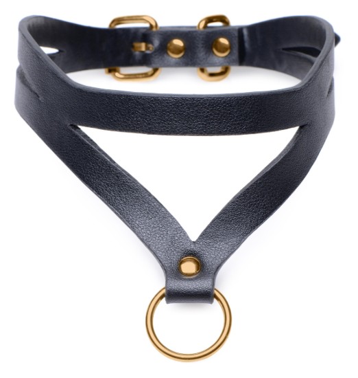 Picture of Black and Gold Collar with Leash Kit