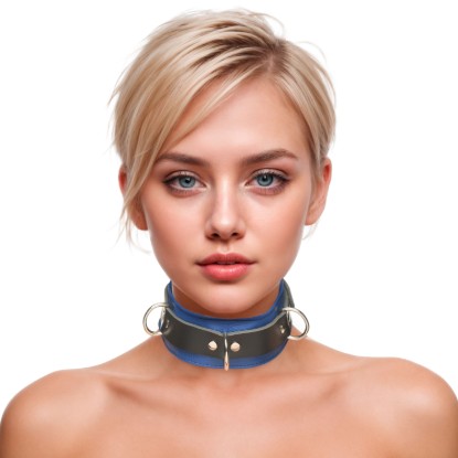 Picture of Strict Leather Deluxe Locking Collar - Blue and Black