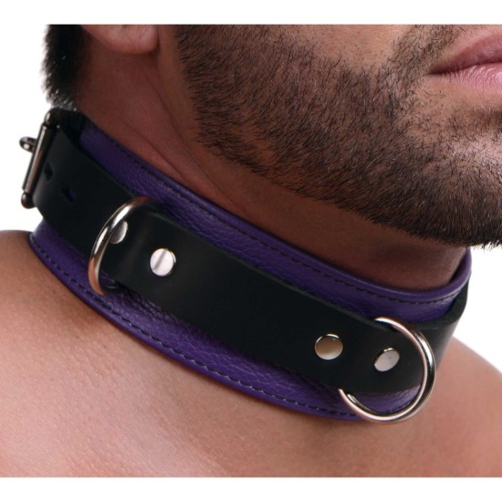 Picture of Strict Leather Deluxe Locking Collar - Purple and Black