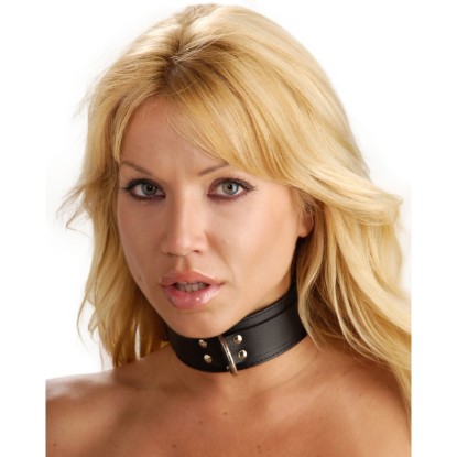 Picture of Strict Leather Standard Lined Collar