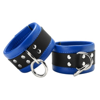 Picture of Blue Mid-Level Leather Ankle Restraint