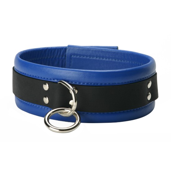 Picture of Blue Mid-Level Leather Collar