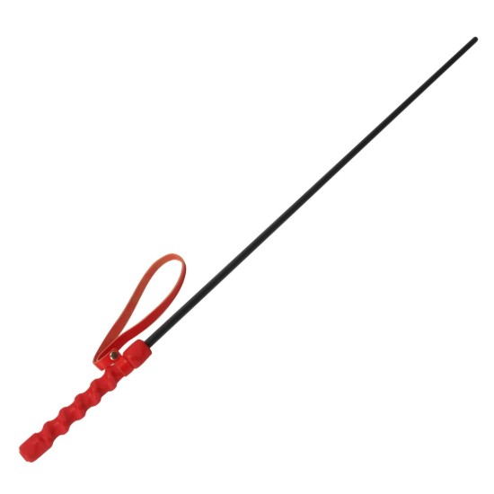 Picture of Intense Impact Cane- Red