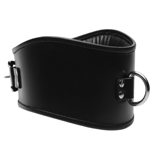 Picture of Padded Leather Locking Posture Collar