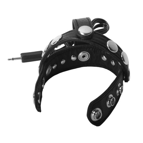 Picture of Radian Leather Ball Harness